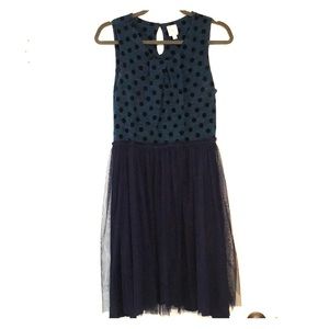 Beautiful tulle Anthropologie dress!